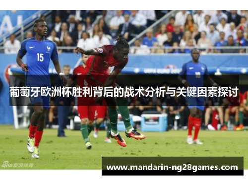 葡萄牙欧洲杯胜利背后的战术分析与关键因素探讨