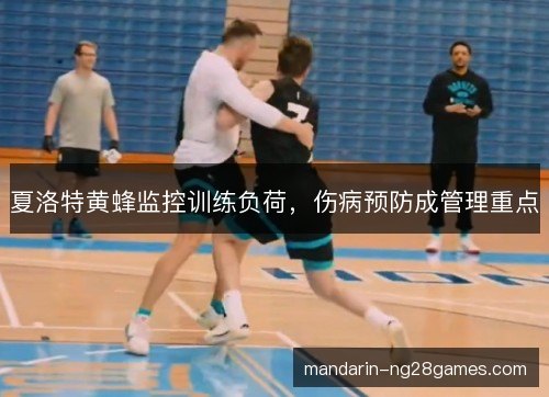 夏洛特黄蜂监控训练负荷，伤病预防成管理重点